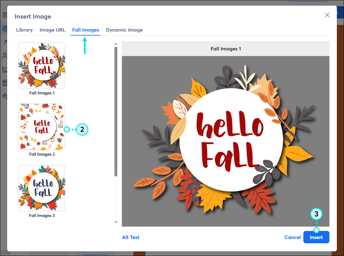 Ventana superpuesta Insert Image (Insertar imagen) con pestaña Fall Images (Imágenes de otoño) seleccionada, imagen seleccionada y previsualización de imagen y botón Insert (Insertar)