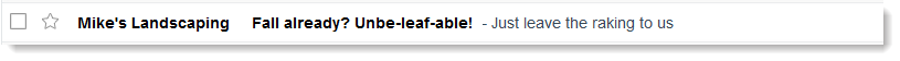 Punny subject line example