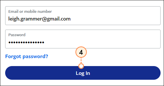 Enter PayPal password and log in