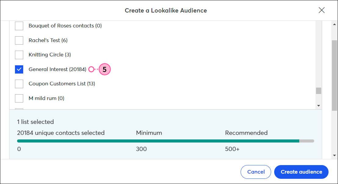 Lookalike Audience section and Create a new audience link