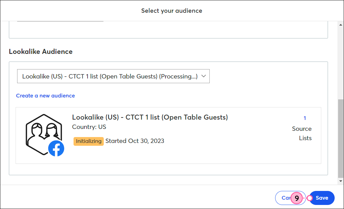 Lookalike Audience in Initializing status, and Save button