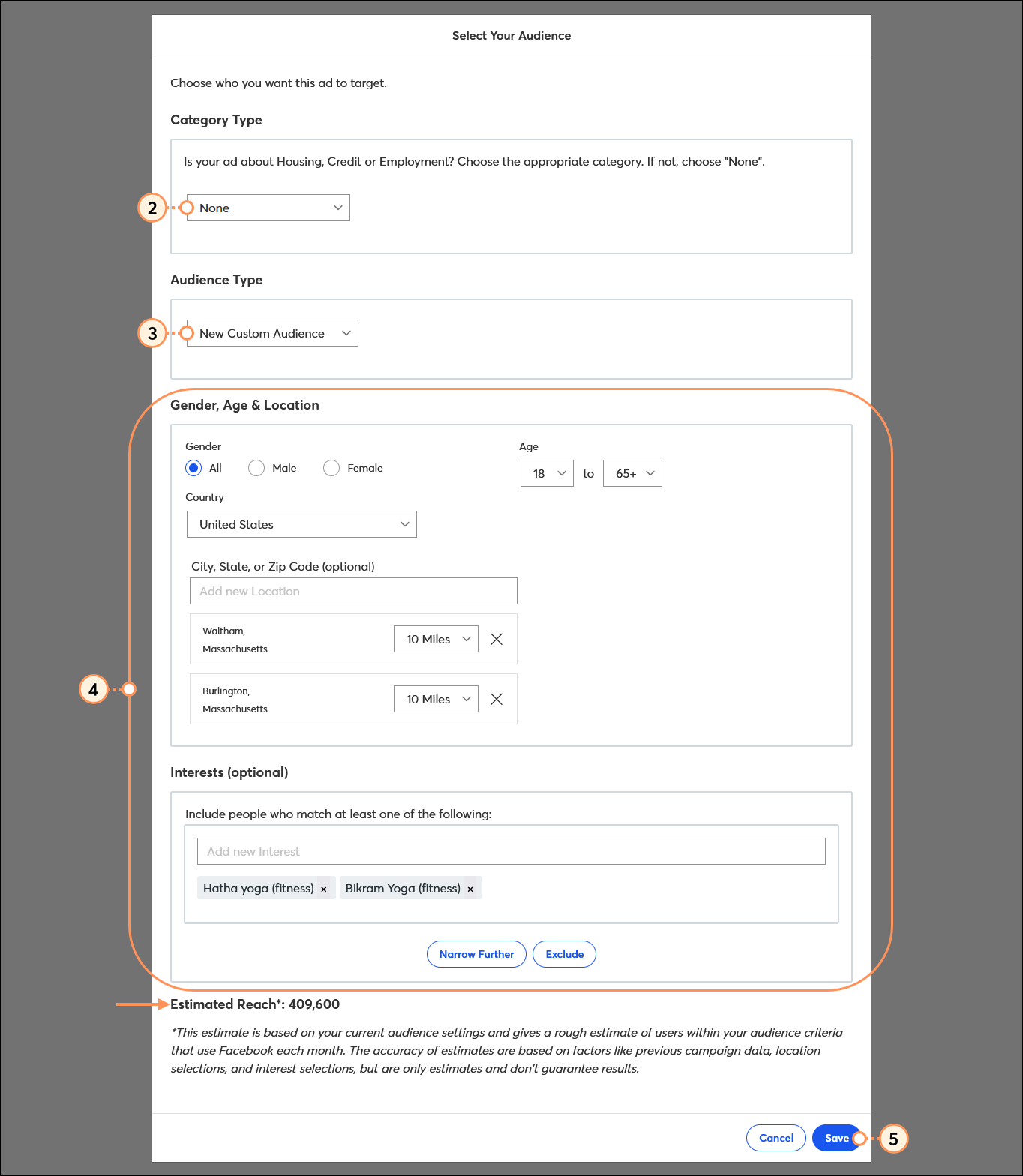 Category Type and None Option, Audience Type and New Custom Audience Option, Demographics and Interests, and Save Button