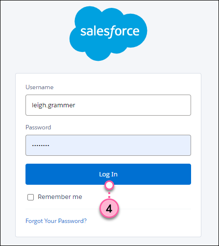 Log into your Salesforce account