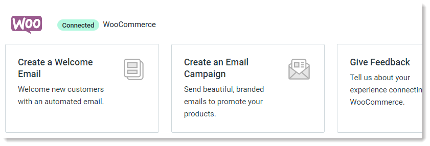 Store Name Missing from WooCommerce Dashboard