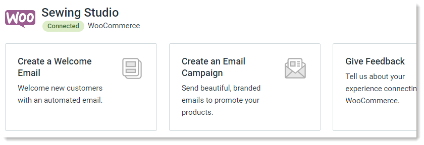 WooCommerce Dashboard Store Name Visible