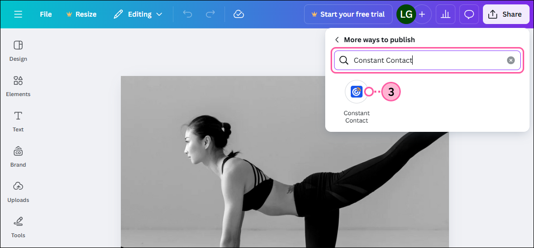 Menú desplegable Share (Compartir) con barra de búsqueda y opción Constant Contact seleccionada