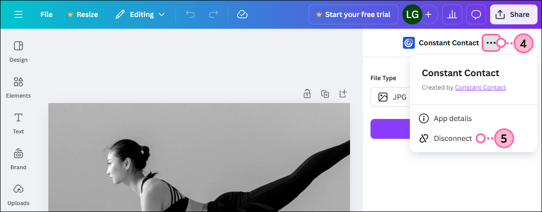 Información de la aplicación Constant Contact, más menúes desplegables y opción Disconnect (Desvincular) seleccionada