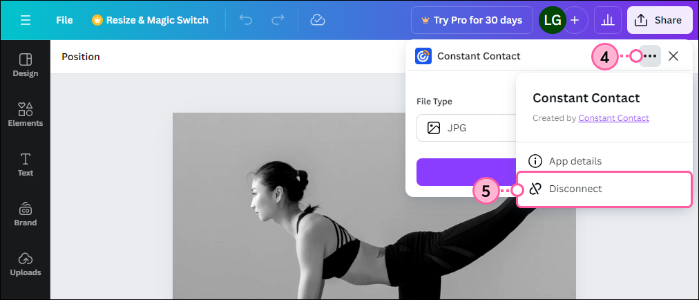 Información de la aplicación Constant Contact, más menúes desplegables y opción Disconnect (Desvincular) seleccionada