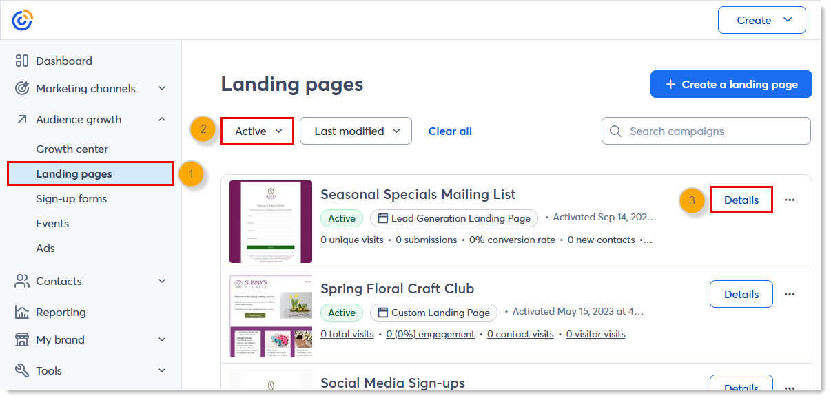 Landing Pages Tab, Active Lead Generation Landing Page, and Details button