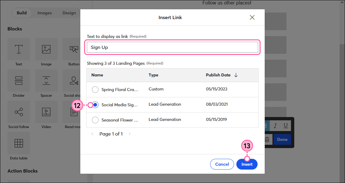 Página de bienvenida personalizada, ventana superpuesta Link (Enlace), campo Text to display as link (Texto a mostrar como enlace), opciones de página de bienvenida, y botón Insert (Insertar)