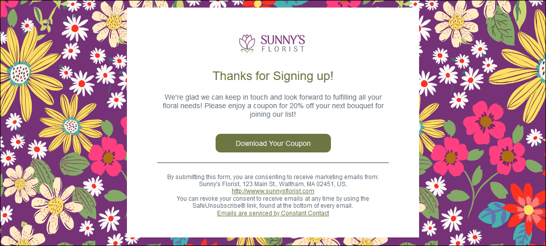 Example Lead Generation Thank You Page with Optional Download Button