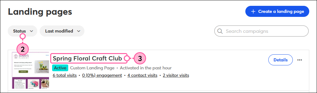 Landing Pages page, Status filter, and Active Custom Landing Page name