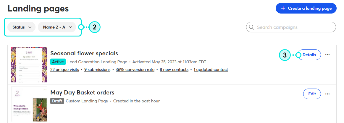 Marketing campaigns tab and Landing pages page with filter options and  Active Lead Generation Landing Page and Details button