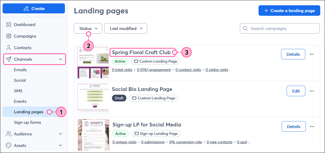 Landing Pages page, Status filter, and Active Custom Landing Page name
