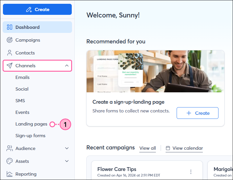 Channels drop-down, and Landing Pages option