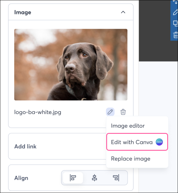 Image block panel in email editor with Edit with Canva option