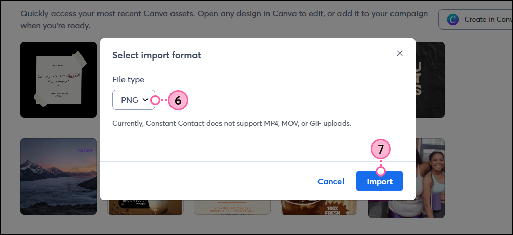 Select Import Format pop-up with file type drop-down and Import button