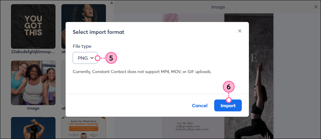 Select Import Format pop-up with file type drop-down and Import button