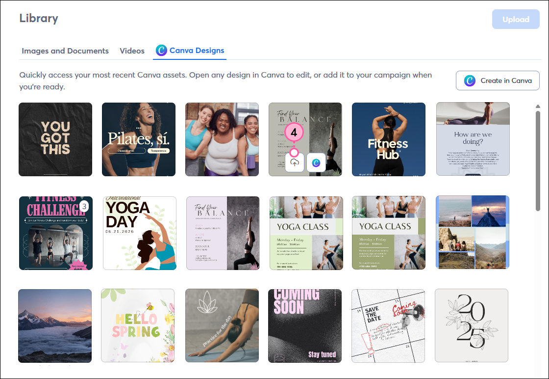 Constant Contact Library, Canva Designs tab and assets to select