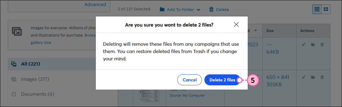 Are you sure you want to delete 2 files overlay and Delete 2 files button