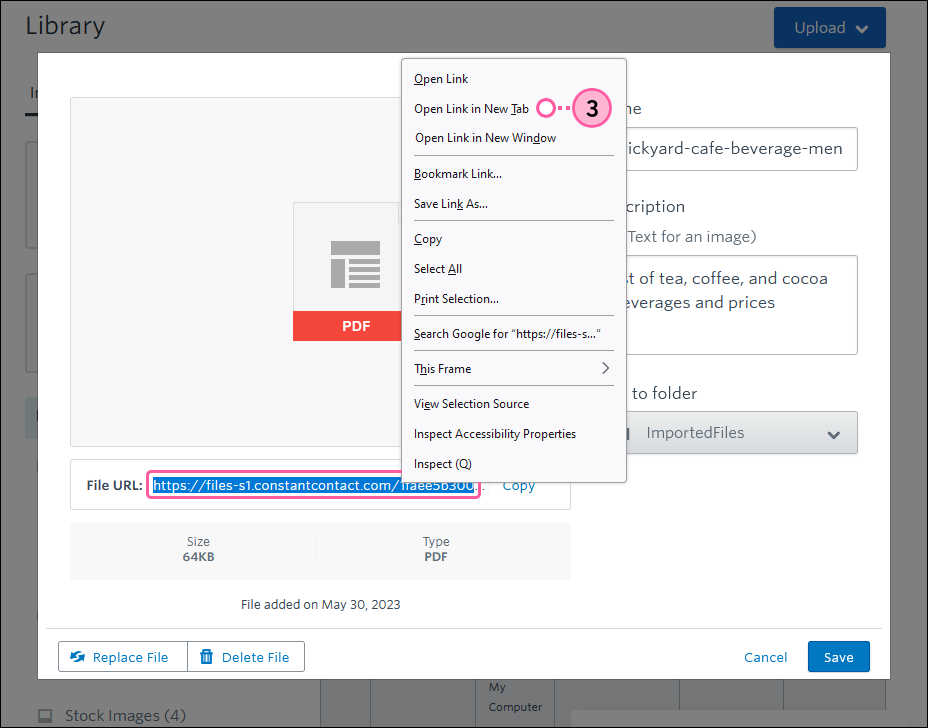 Document details with File URL selected and Open Link in New Tab option in drop-down