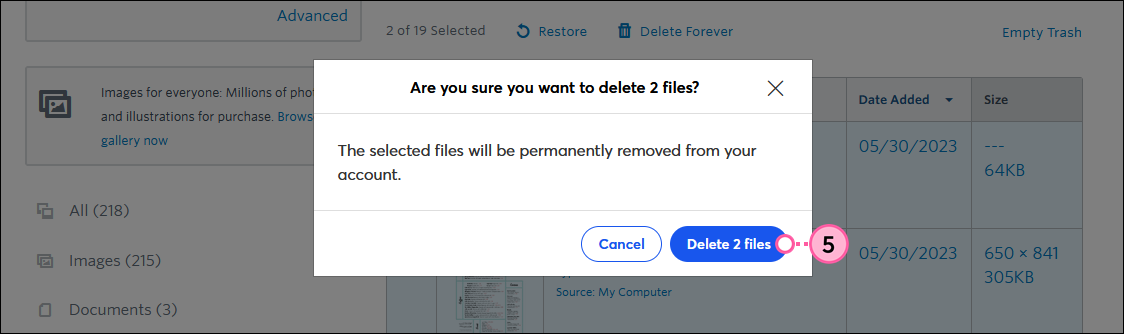 Are you sure you want to delete 2 files overlay with Delete 2 files button