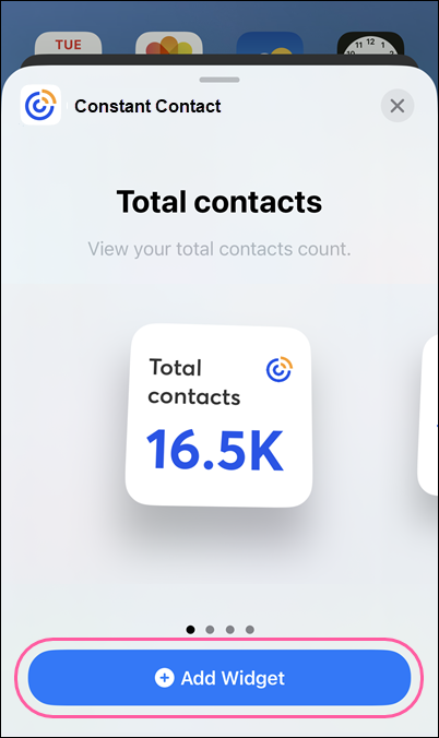 Constant Contact widget options and Add Widget button