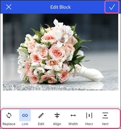 Edit Image Options