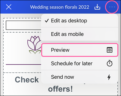 Email editor with actions drop-down and Preview option