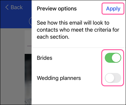 Email Preview options with dynamic content criteria toggles and Apply button
