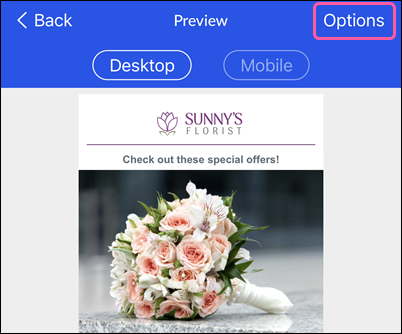 Email Preview with Options button