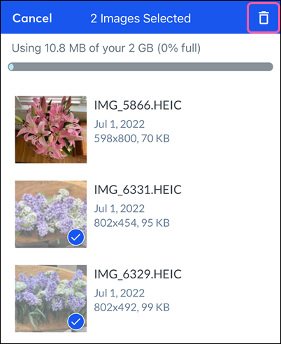 Images selected and Trash can icon