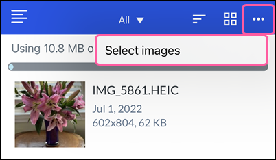 Library More drop-down with Select Images option