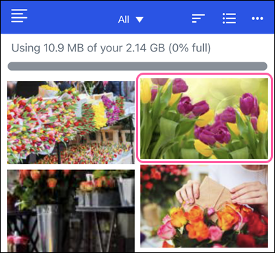 Image Library