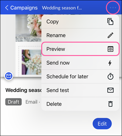 Draft email details with drop-down and Preview option