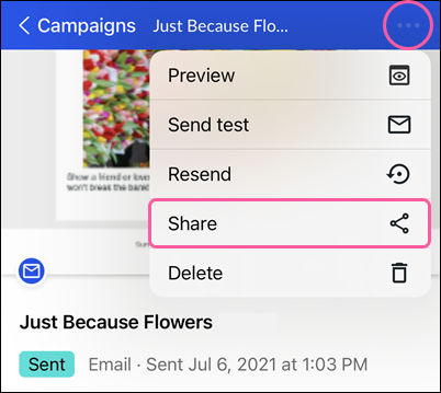 Sent email details page with drop-down and Share option