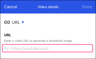 Video block details with URL field