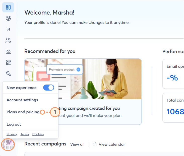 My Account dashboard with Account details tab selected, and Account Owner drop-down menu expanded with Plans & Pricing option selected