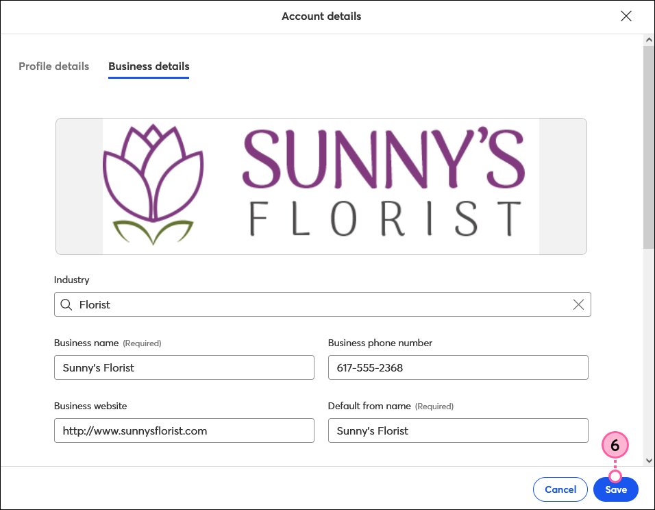 Account Details pop-up, BrandKit tab with Logo added, and Save button