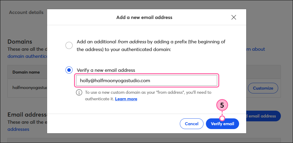 Add New Email Address overlay, Email Address field, and Verify Email button