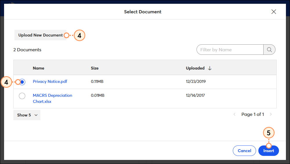 Upload a New Document button, uploaded documents, and Insert Button