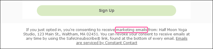 Lead Generation Landing Page footer with standard fine print language, organization name, organization address, organization website URL, unsubscribe instructions, View Privacy Policy link, and Emails are serviced by Constant Contact link