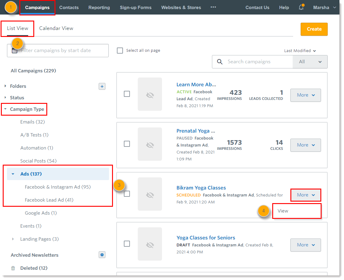 Check The Status Of A Scheduled Ad With A Facebook Lookalike Audience