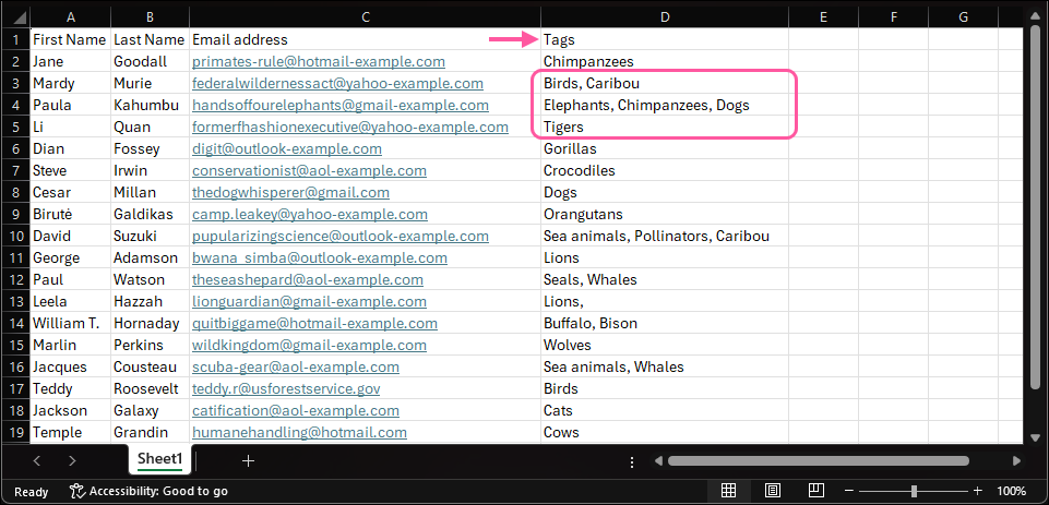 Example Spreadsheet with Tags column and cells with single tags and multiple tags separated by a comma