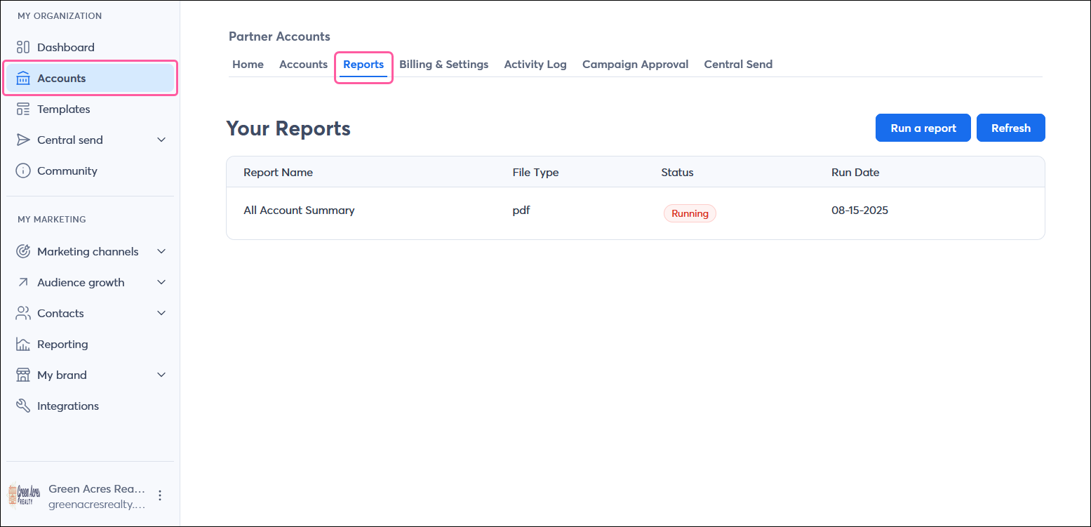Partner account with MY ORGANIZATION menu and Accounts tab selected, and Reports tab selected with All Account Summary report running