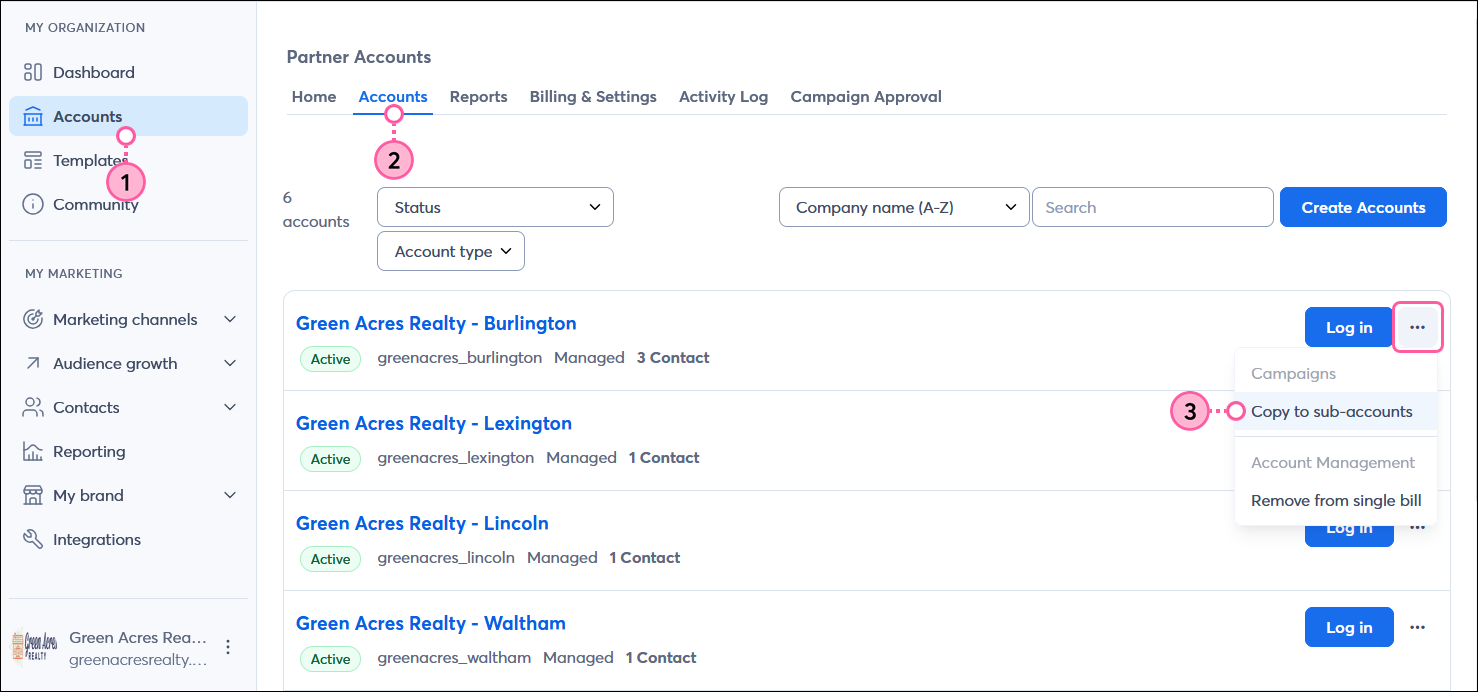 MY ORGANIZATION menu and Accounts option, Accounts tab selected, sub-account with menu expanded, and Copy to sub-accounts option selected
