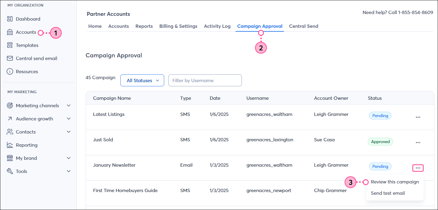 Accounts tab, Campaign Approval tab, Campaign Approval table with All Statuses option selected, and campaign in Pending status with menu expanded and Review this email option selected