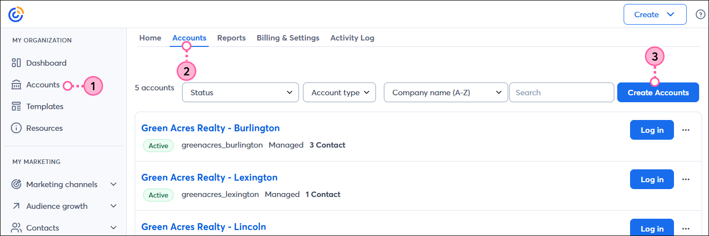 Accounts tab with Accounts sub-tab selected, and Create Accounts button