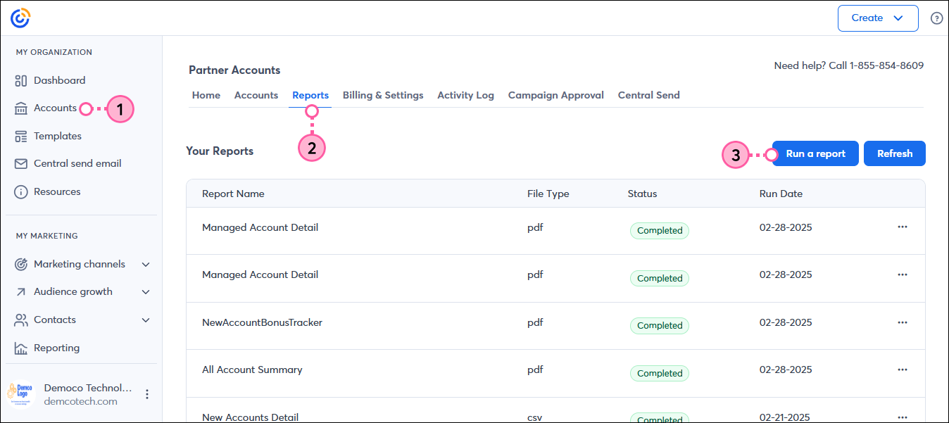Accounts tab, Reports sub-tab selected, and Run a Report button