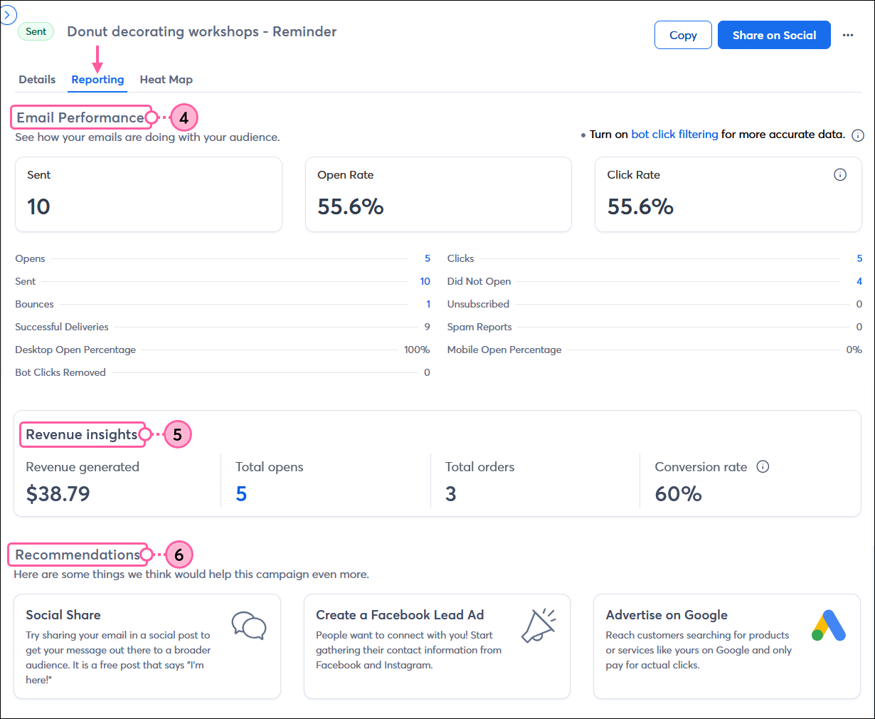 Email Reporting tab with Email Performance section, Revenue insights, and Recommendations sections